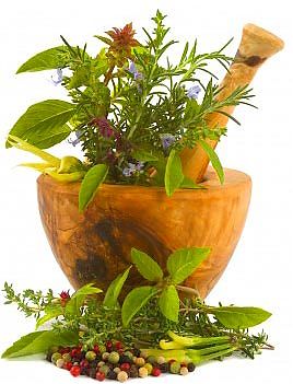 Léčivé bylinky - zdraví z přírody